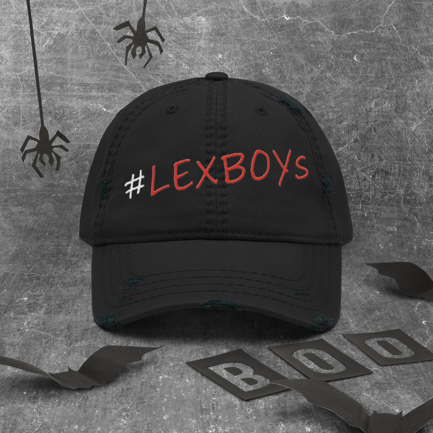 Distressed “ #LexBoys ”Dad Hat