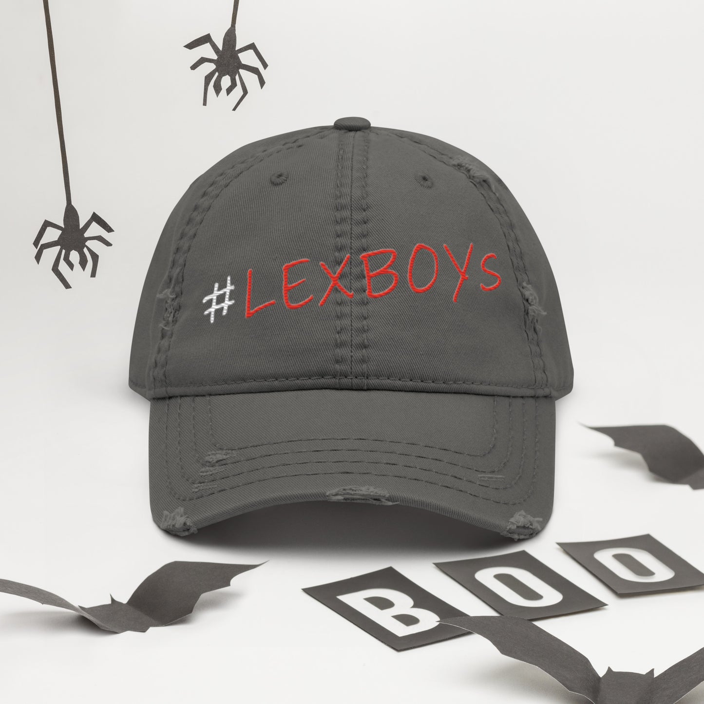 Distressed “ #LexBoys ”Dad Hat